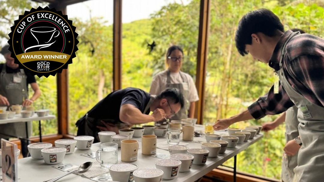 What Is the Cup of Excellence? Inside Coffee’s Most Prestigious Award