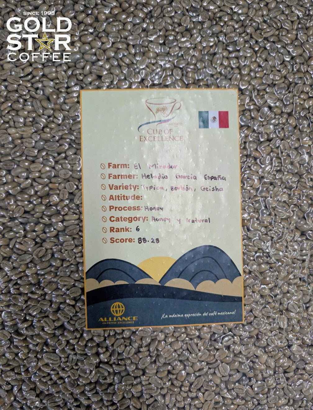 Mexican El Mirador: Honey/Geisha - Cup Of Excellence Winner