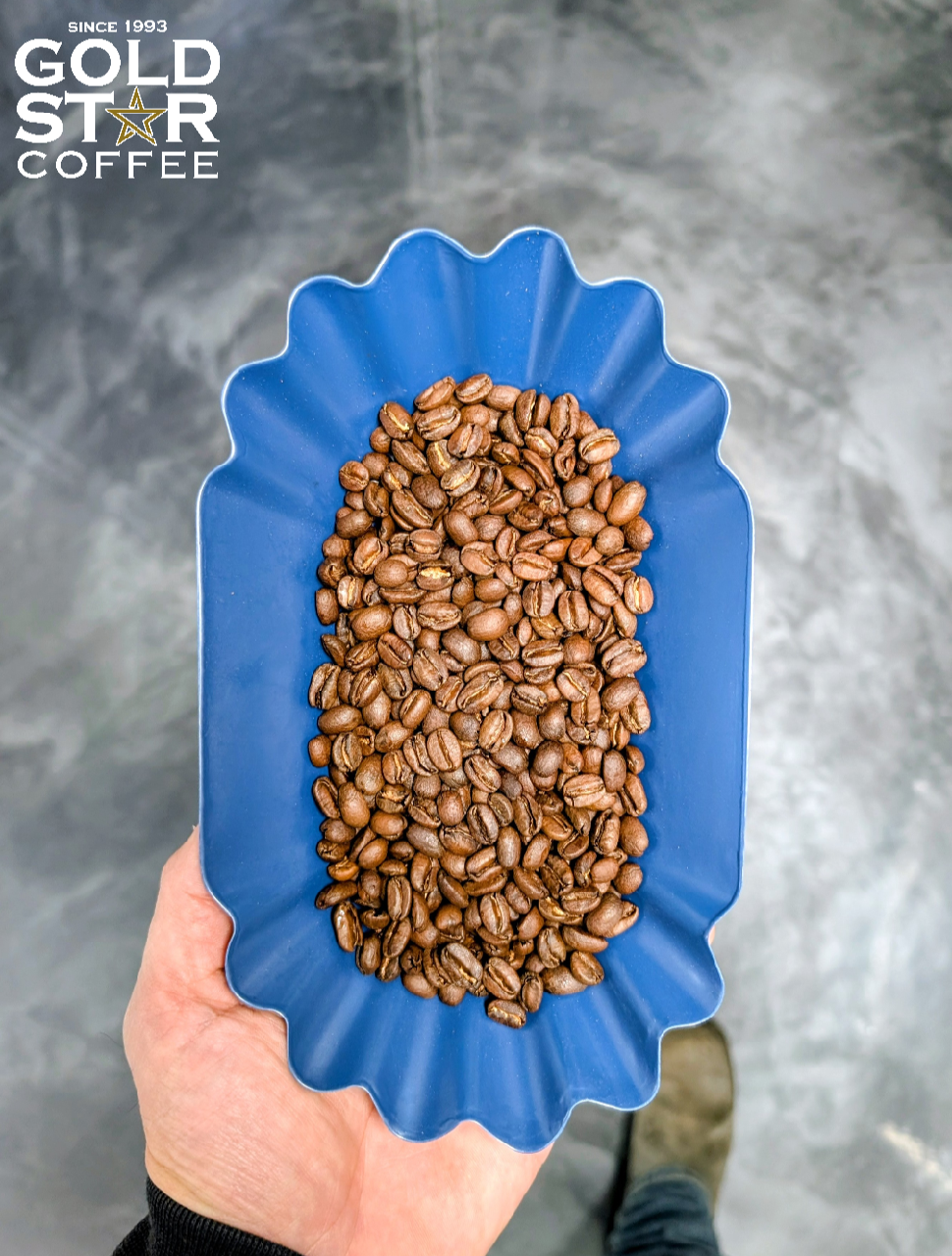 Mexican El Mirador: Honey/Geisha - Cup Of Excellence Winner: Medium Roast