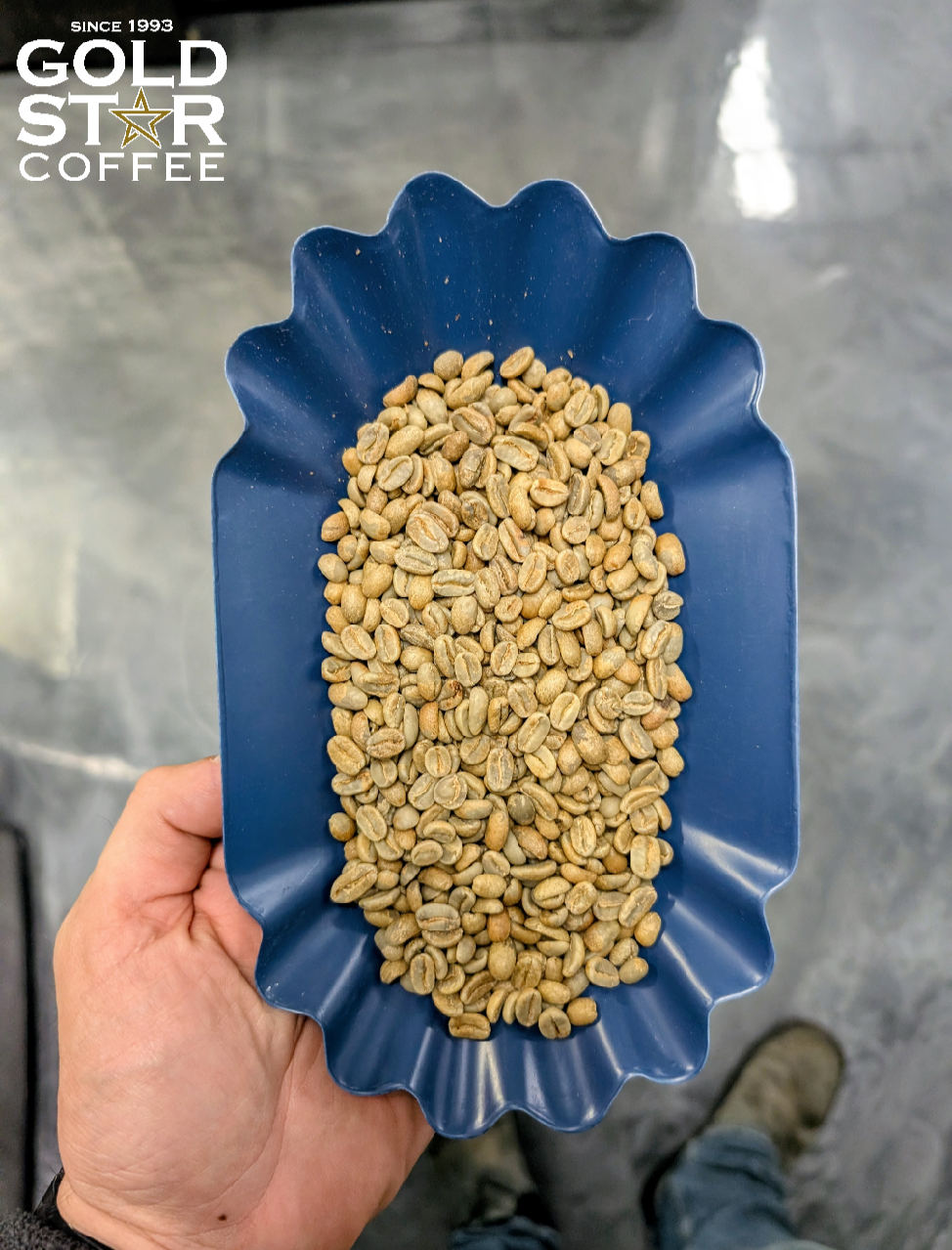 Mexican El Mirador: Honey/Geisha - Cup Of Excellence Winner: Medium Roast