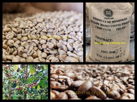 4 lb Honduras Yellow Honey - Prima Microlot