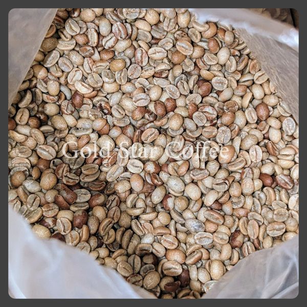 Costa Rica Black Honey Geisha - Exclusive Limited Auction Lot - 2 x 1/2 lb Bags